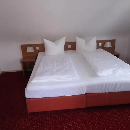 Bodenseehotel Krone & Gaestehaus 호텔