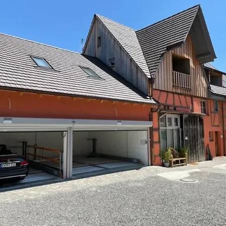 호텔 Bodenseehotel Krone & Gaestehaus 보드만루드비히샤펜