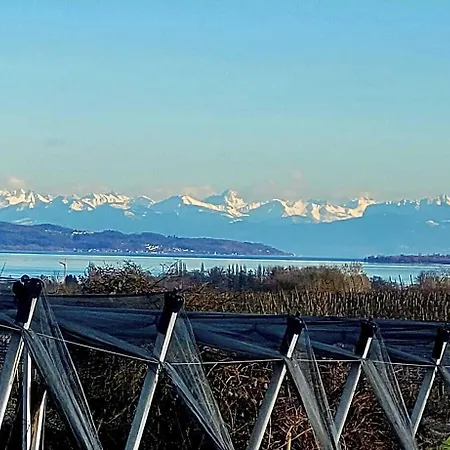 Bodenseehotel Krone & Gaestehaus 3*