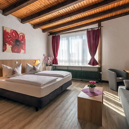 Bodenseehotel Krone & Gaestehaus 3* 보드만루드비히샤펜