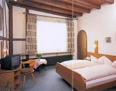 호텔 Bodenseehotel Krone & Gaestehaus