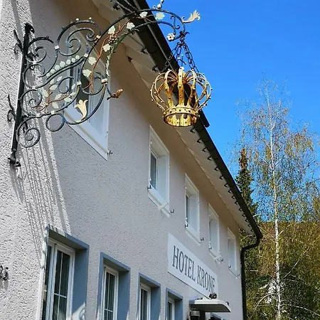 Bodenseehotel Krone & Gaestehaus 호텔