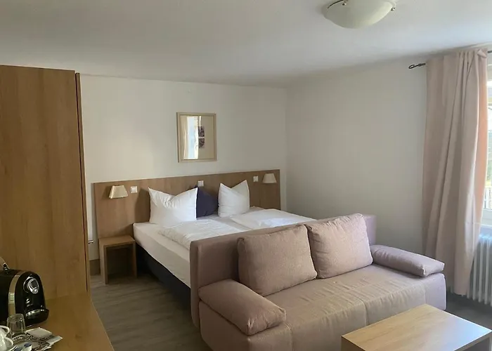 Bodenseehotel Krone & Gaestehaus 3*