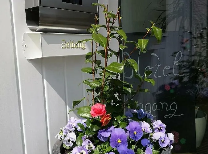 Bodenseehotel Krone & Gaestehaus